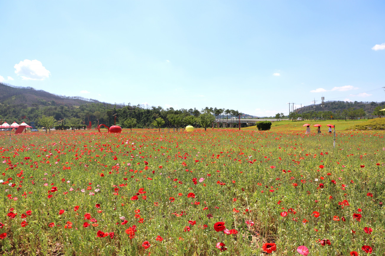 IMG_0450.JPG